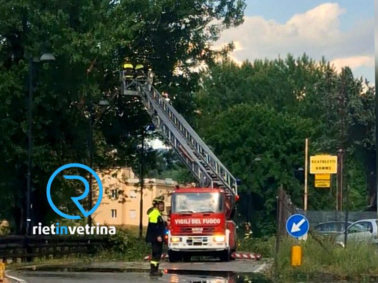 Rami pericolanti in via don Giovanni Olivieri: Vigili del Fuoco sul posto