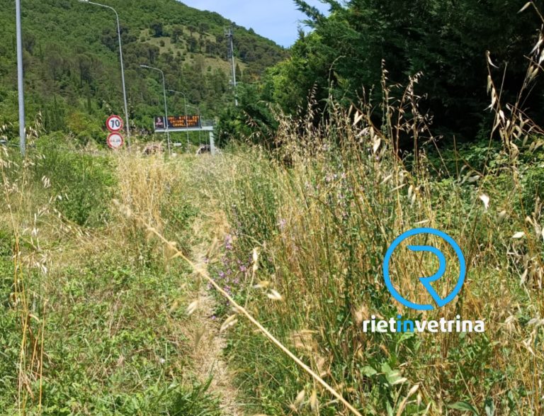 SEI TU IL REPORTER – “Come ogni primavera nei Cammini di san Benedetto e san Francesco erba altissima e quest’anno anche uno sbarramento”