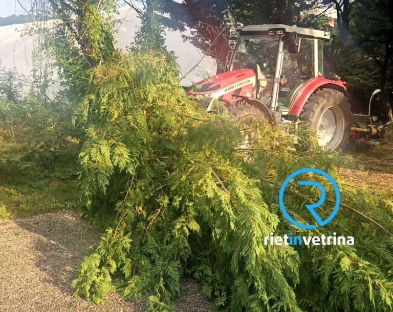 Tromba d’aria a Piani Poggio Fidoni, grosso ramo cade ad un passo da un trattore