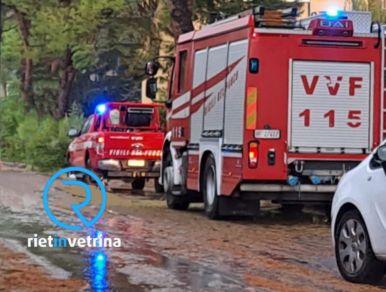 Ramo caduto sulla Terminillese, strada parzialmente bloccata