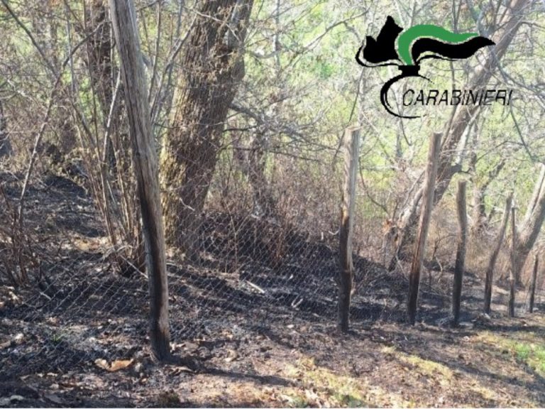 Incendi nel Reatino: identificati i responsabili