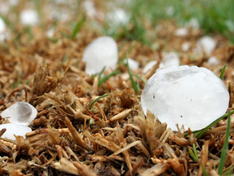 Ondata di grandine nel Reatino. Riconosciuto stato di calamità naturale. Accolta mozione PD Rieti