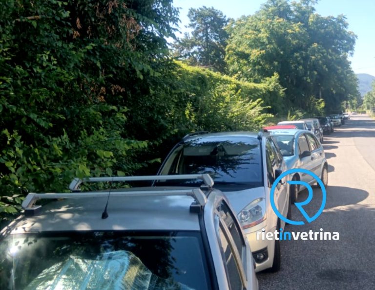 SEI TU IL REPORTER – Daniele: “In via Rosatelli si parcheggia affianco di una giungla”