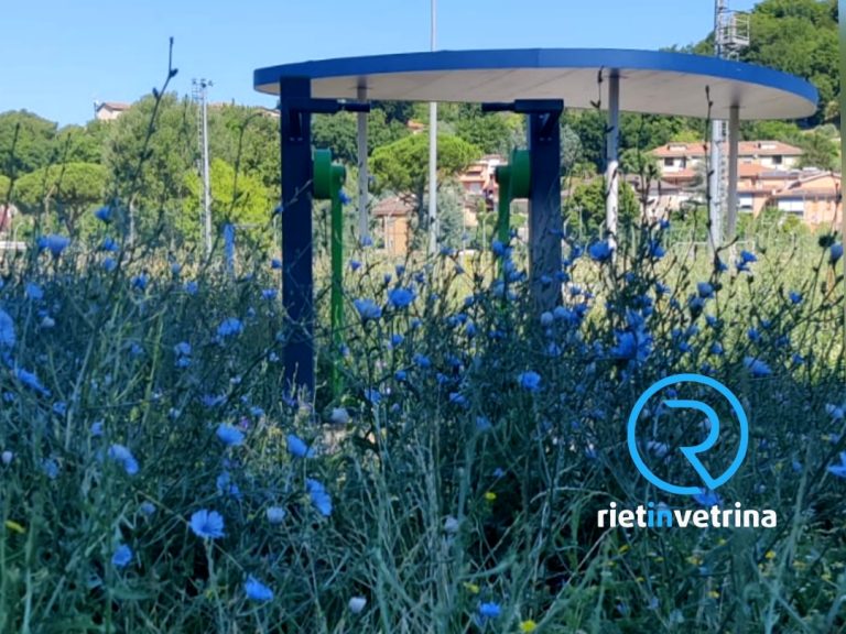 SEI TU IL REPORTER – Sabato: “Perché il Comune di Rieti continua a fare parchi pubblici se poi non taglia l’erba?”