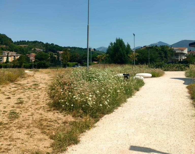 PD Rieti: “Il parco di Campoloniano inaugurato con il ministro Abodi giace in condizioni pietose”