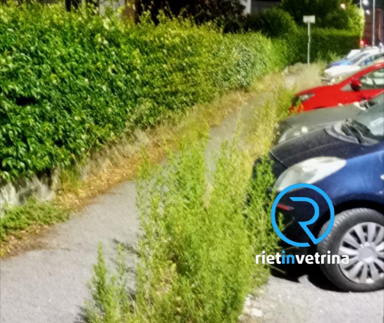 SEI TU IL REPORTER – “Campoloniano si tinge di verde. Via Renzo De Felice con erba altissima”