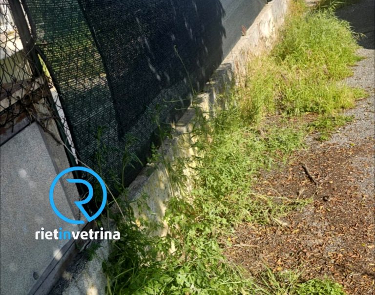 SEI TU IL REPORTER di Rietinvetrina – Patrizia: “I marciapiedi di via Miglioli a Campoloniano. Dimenticati”
