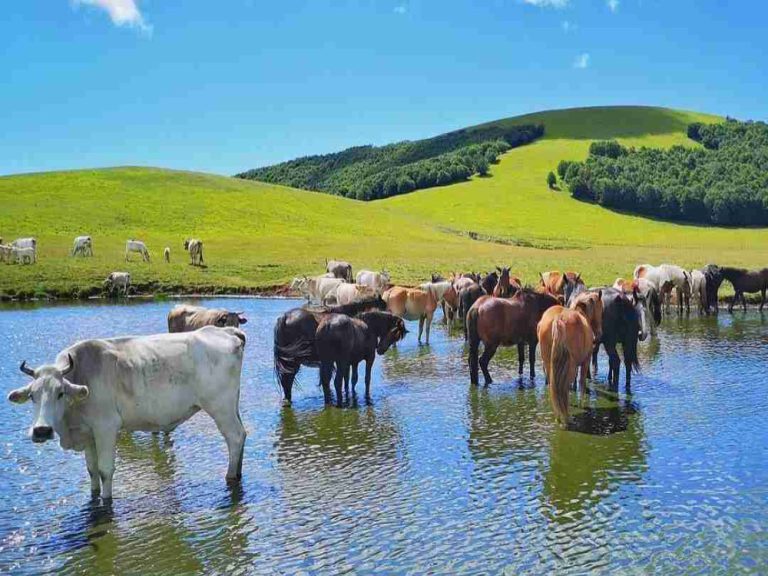 I Pantani di Accumoli sono salvi, stop al  progetto del rifugio montano