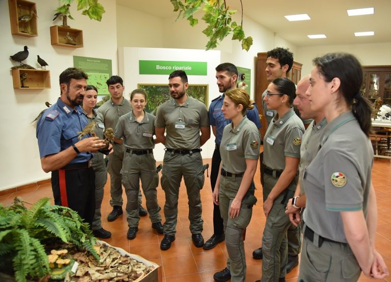 Concluso il Corso di Formazione per 94 Allievi Agenti del Corpo Forestale della Regione Siciliana presso la Scuola Forestale Carabinieri di Cittaducale