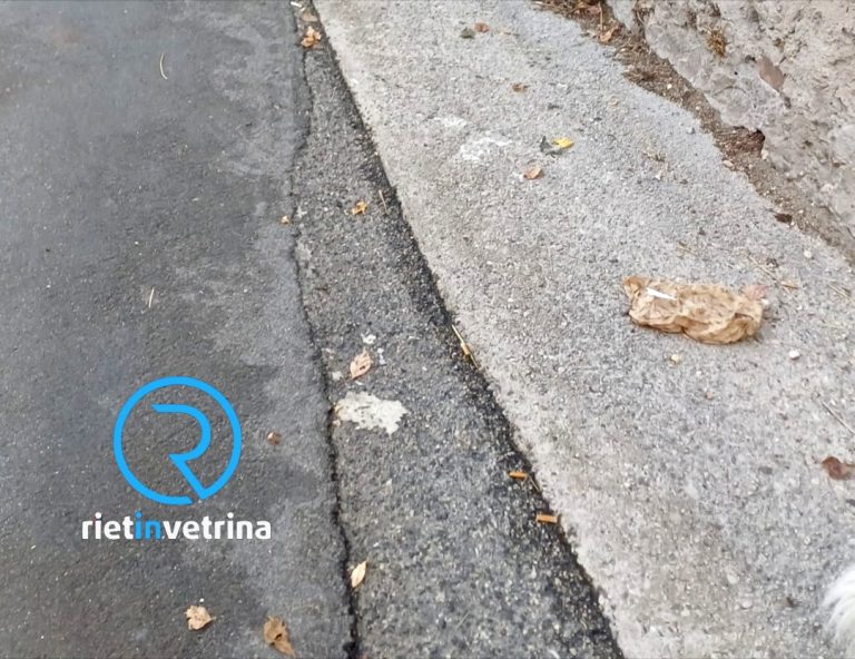 SEI TU IL REPORTER – Antonella: “La gente butta tutto per terra e sporca. Però chi dovrebbe pulire passa poco!”