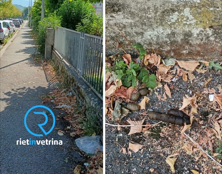 SEI TU IL REPORTER – Carla: “In viale de Juliis c’è degrado in abbondanza: deiezioni canine, sporcizia, erba alta”