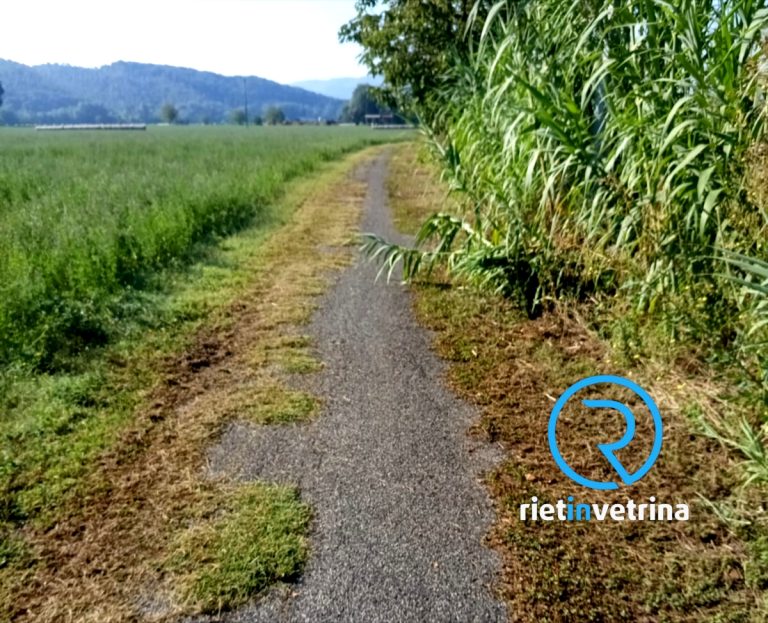SEI TU IL REPORTER di Rietinvetrina – “Potete intervenire per ripristinare la Pista Ciclabile di Rieti