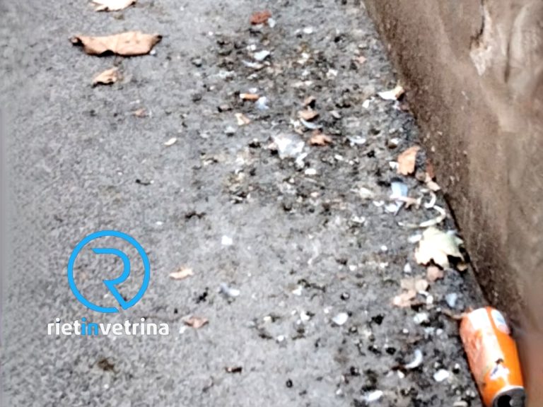 SEI TU IL REPORTER – “Tutto molto bello, ma la pulizia delle strade di Rieti?”