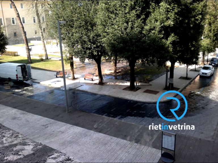 Bloccato l’annunciato taglio del pino in piazza Oberdan. Si proverà un test di trazione