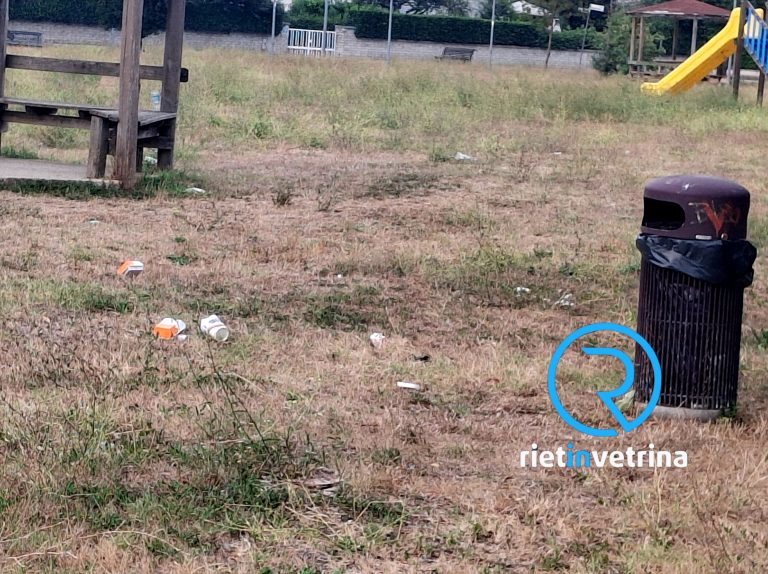 SEI TU IL REPORTER – “Nel parco Paul Harris di Micioccoli rifiuti gettati a terra con il cestino a 20cm di distanza”