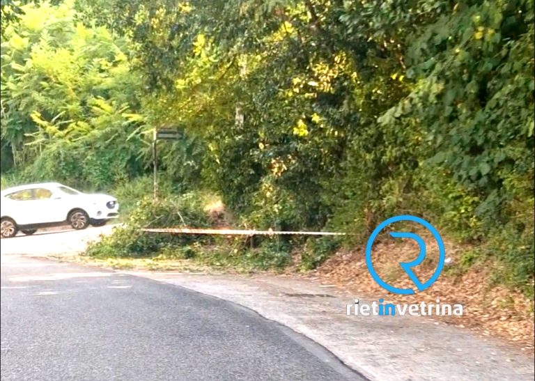 Caduta una pianta sulla Salto Cicolana altezza bivio per Campomoro