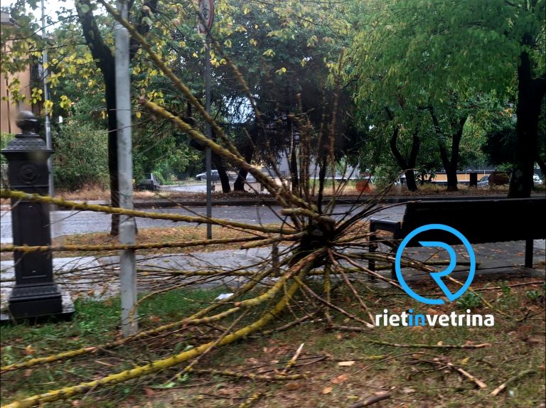 Caduti rami nella passeggiata centrale di viale de Juliis