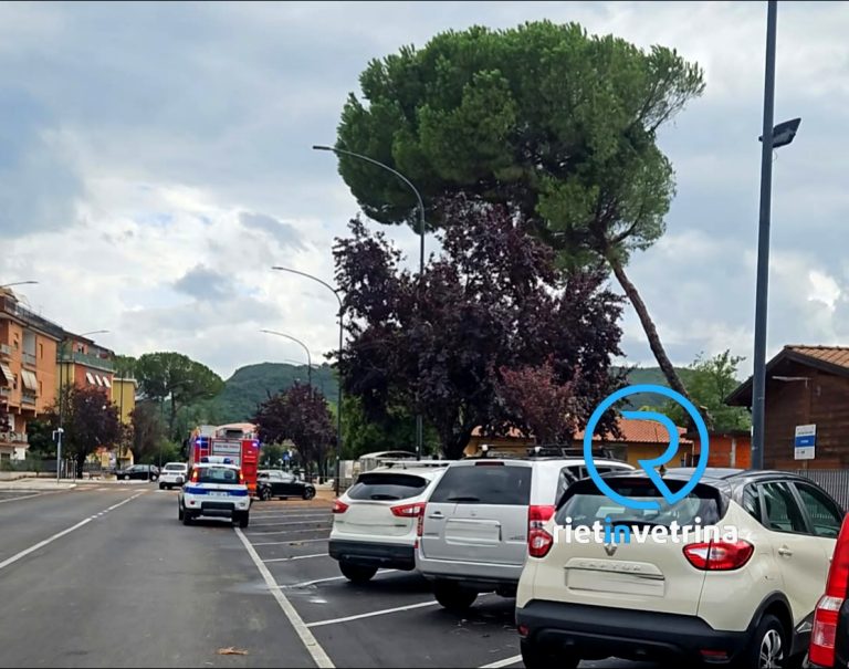 Rami pericolanti in via Theseider: sul posto Pompieri e Polizia Locale