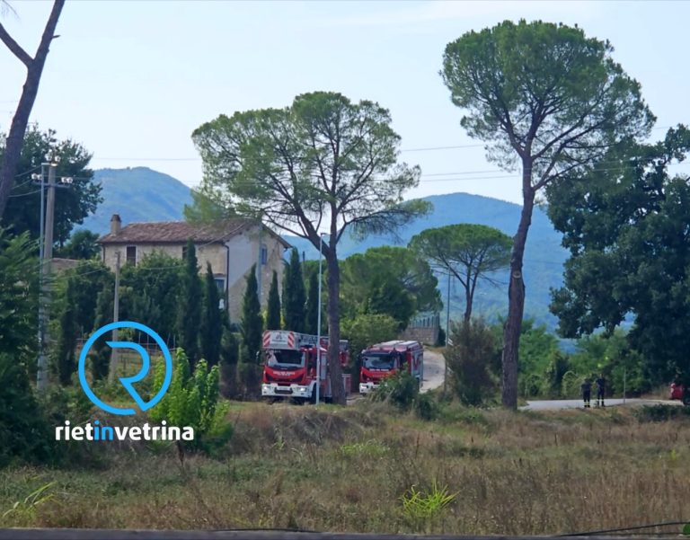 Vigili del Fuoco a Sant’Elia per potare le parti pericolanti della grande quercia colpita dal maltempo