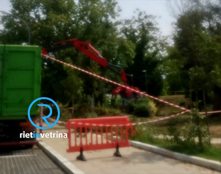 Albero pericolante in via Theseider, intervento per tagliarlo