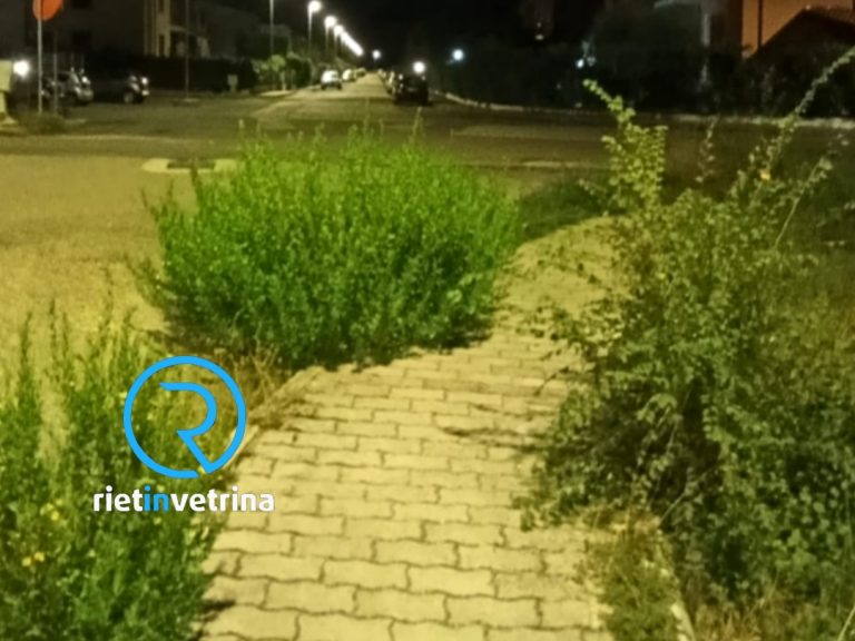 SEI TU IL REPORTER – “Via Villafranca e via Bernardinetti sommerse dell’erba alta. Siamo esausti”