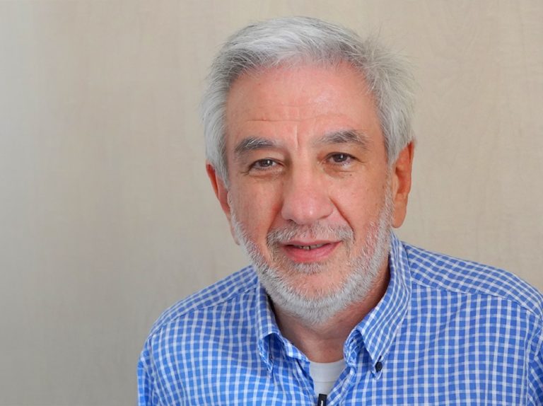 In piazza Oberdan sarà abbattuto un pino. Assessore Sanesi: “La Valutazione Visiva dell’Albero evidenzia criticità rilevanti sia dell’apparato radicale sia della parte aerea”
