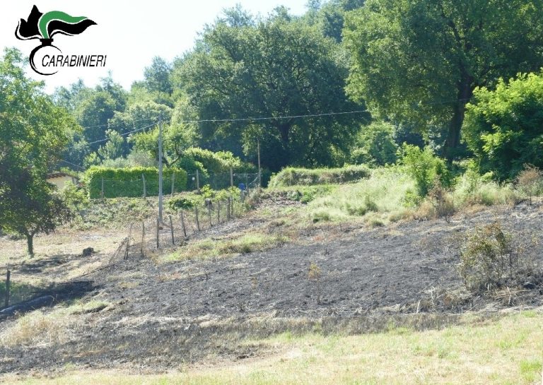 Accende un fuoco per bruciare residui vegetali, non controlla le fiamme e distrugge 900 metri quadrati di terreno