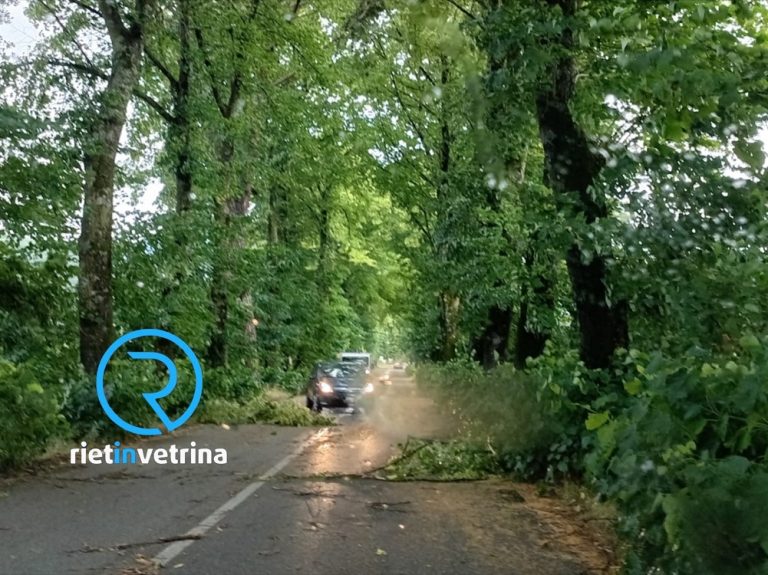 Maltempo, cadute piante sulla provinciale Tancia zona Piani Poggio Fidoni