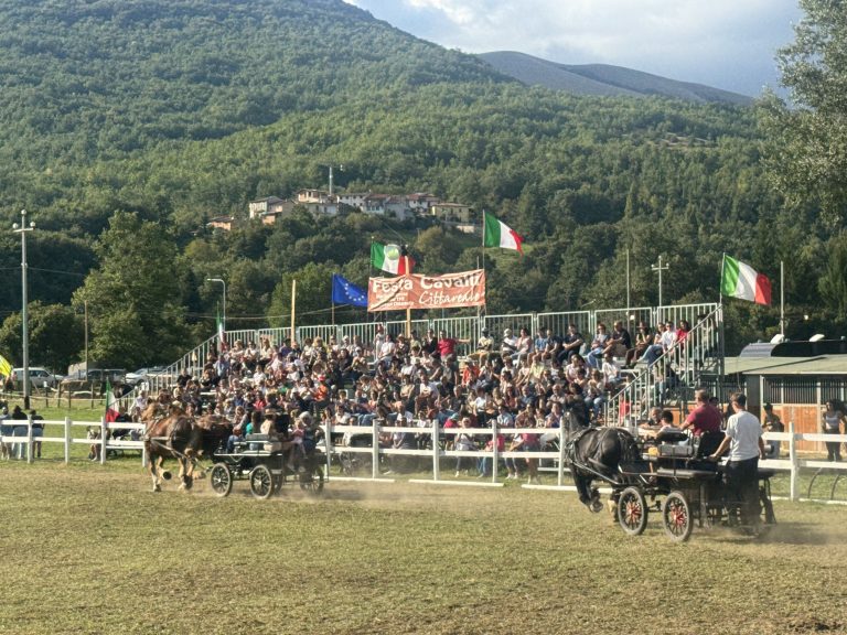 Festa Cavalli 2026: Cittareale celebra la grande tradizione equestre e inaugura la nuova Area Fiera