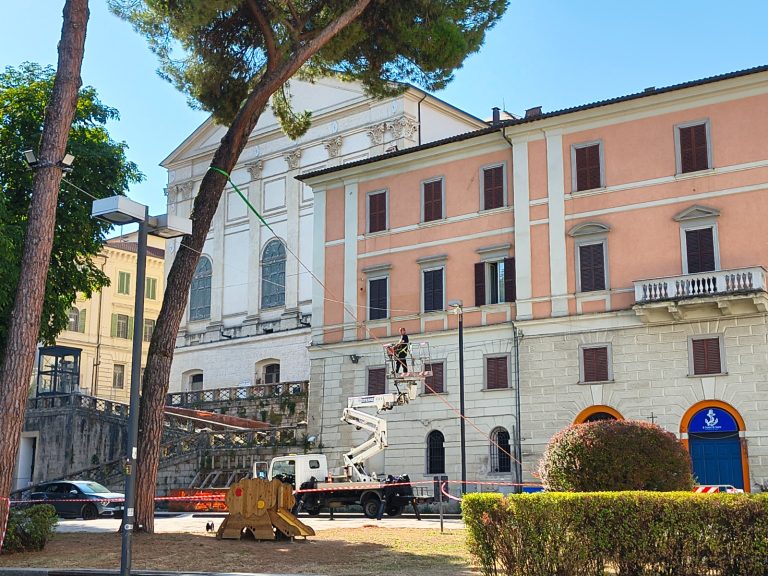 Associazione Civica “Salviamo Viale Maraini: “Il salvataggio del pino di piazza Oberdan deve farci riflettere sull’esigenza di un Piano del Verde”