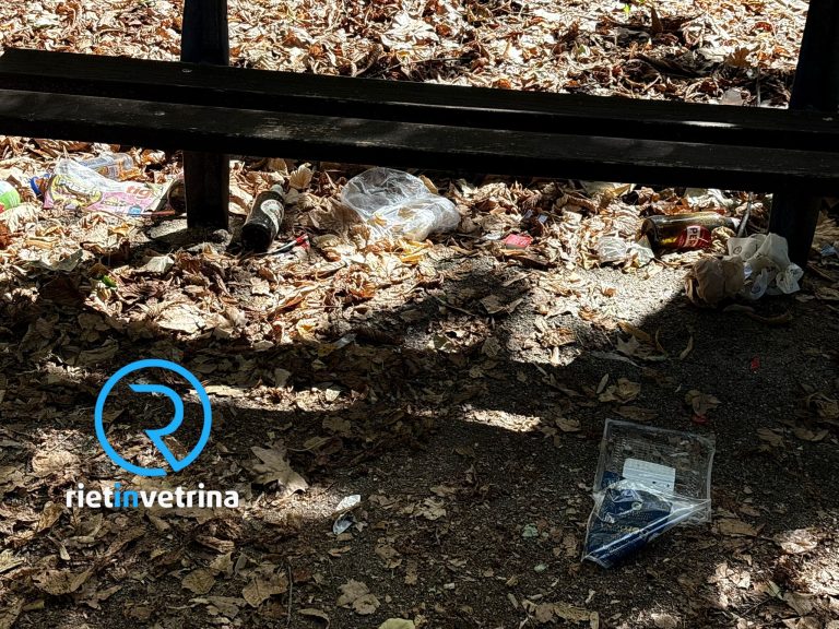 SEI TU IL REPORTER – “Incuria e sporcizia nelle aree verdi tra viale Maraini e viale Liberato di Benedetto”