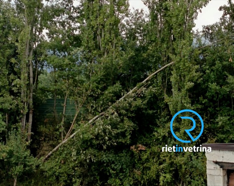 SEI TU IL REPORTER – Stefania: “Serve un controllo agli alberi della superstrada zona imbocco galleria Colle Giardino. Si piegano e cadono col vento”