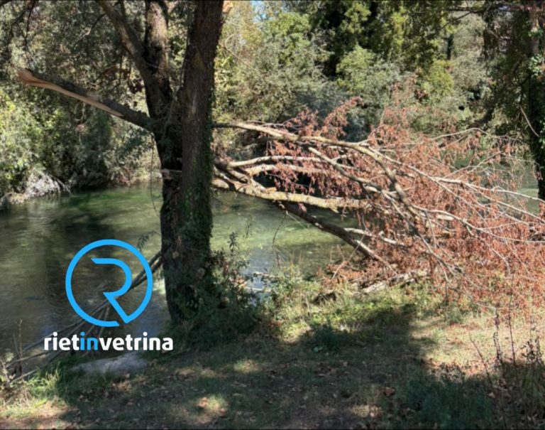 SEI TU IL REPORTER – “L’argine del Velino dal Foro Boario a Ponte Cavallotti abbandonato a sé stesso”