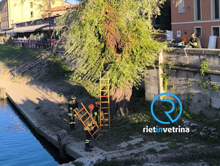 Principio di incendio su un albero lungo il Velino. Vigili del Fuoco transennano l’area