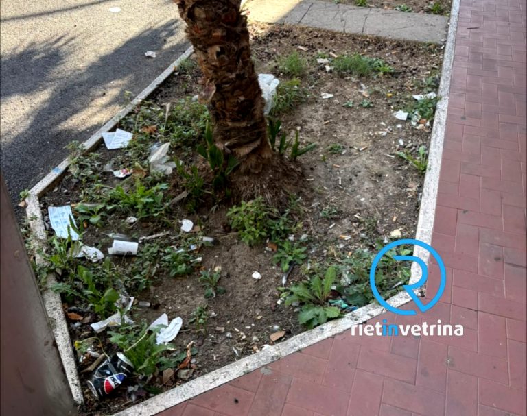 SEI TU IL REPORTER – “In via delle Ortensie strada sporca e piena di rifiuti”