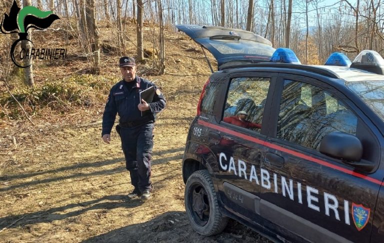 Carabinieri Forestali, controlli su taglio e gestione dei boschi: 16 sanzioni per oltre 3.000 euro