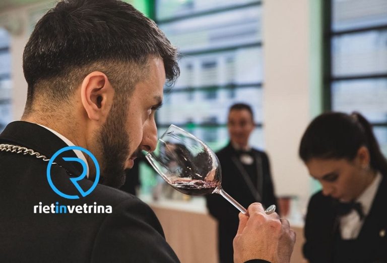 Il vino come Lingua Universale: Inizia il tuo viaggio con il Corso AIS