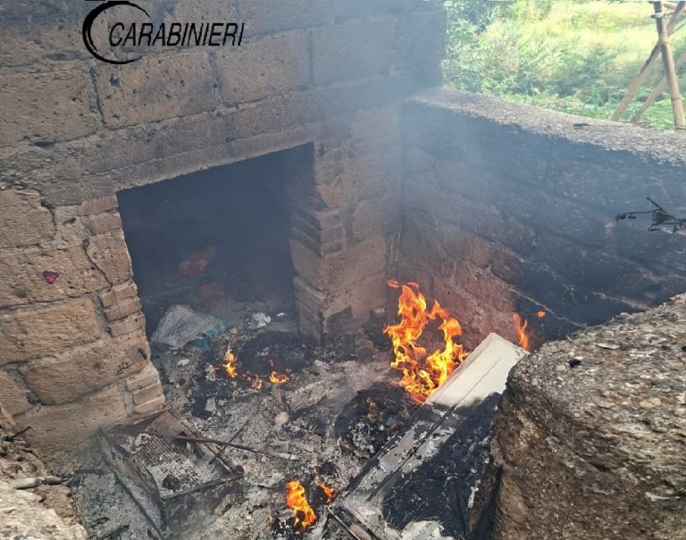 Smaltimento illecito e combustione di rifiuti: denunciato dai Carabinieri Forestali
