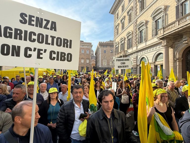 Stanziati 45 milioni di euro a sostegno dell’agricoltura. Accolte le misure di crisi richieste da Coldiretti Lazio