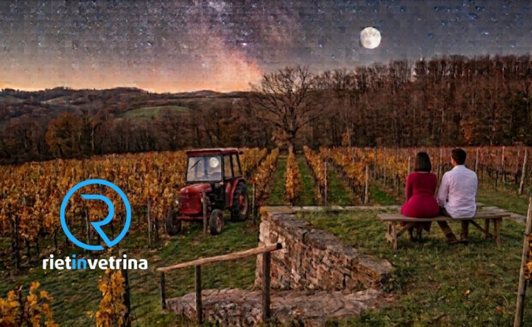 Dal punto di vista del lettore